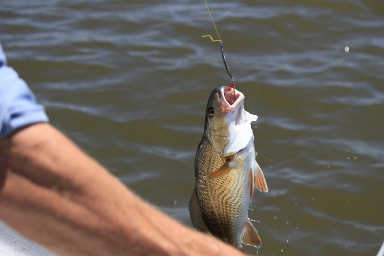 Sinker